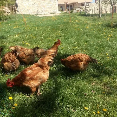 Apartamento Takács Tanya Nemesvámos