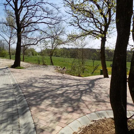 Takacs Tanya * Nemesvámos