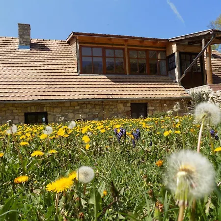 Takacs Tanya * Nemesvámos