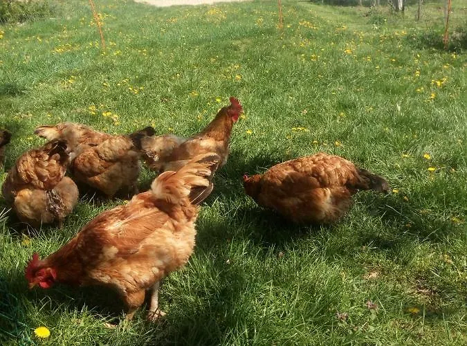 아파트 Takacs Tanya Nemesvámos