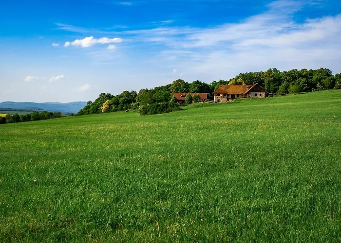 Takacs Tanya 아파트 *