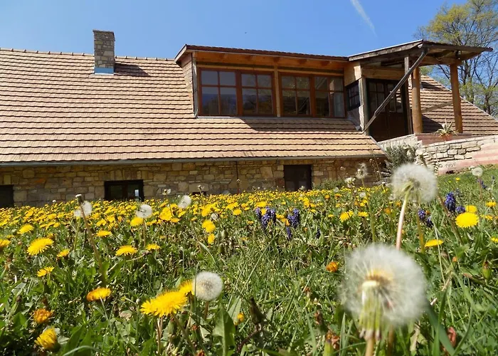 Takacs Tanya * Nemesvámos